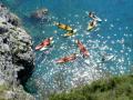 ESCURSIONE GEOLOGICA IN KAYAK (SIT-ON-TOP) A BERGEGGI