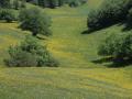 Geologia della Montagna di San Francesco: il Subasio