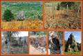 I Sinkhole di Camposoriano