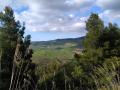 Geopasseggiata nel Parco dei Monti Sicani, area SIC-ZSC Rocche di Castronovo, Pizzo Lupo, Gurghi di S. Andrea