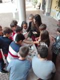 Alla scoperta delle Geoscienze, dalla micro alla macroscala. Laboratori didattici per le classi IV e V elementare