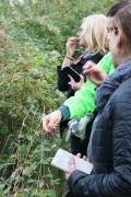 Geoevento nel Montefeltro - Forest Bathing