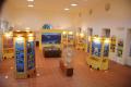 Sala 1 Museo dei Cicli Geologici di Allerona