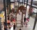Cronache dall'Antropocene