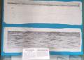 Registrazione originale del terremoto dell'Irpinia del 23 novembre 1980. Museo di Scienze della Terra Università di Bari.