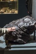 La più grande meteorite in un museo italiano