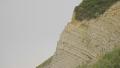 Falesia San Bartolo strati geologici-NO Text Azienda credits