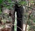 Grotta e canyon dei cristalli: camminata attraverso i gessi del Messiniano