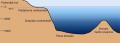 Schema della posizione delle piane abissali negli oceani.