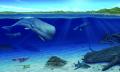 Paleoambiente marino pleistocenico