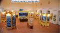 Sala del Museo dei Cicli geologici di Allerona