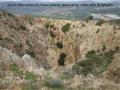 L'ALTOPIANO DELLE FOSSE PISANE