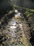 Un tratto del Rio Ramato