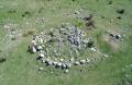 Probabile Cromlech Madonie