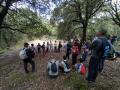 un tratto del percorso nel sottobosco