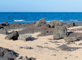 Spiaggia relitta di Punta Sideri