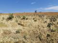 affioramenti cava di argilla di Cambiano 