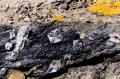L’isola dell’Asinara: un insieme di geositi a testimonianza dell’orogenesi varisica