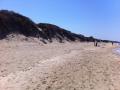 Duna del Parco Naturale Regionale “Dune Costiere”
