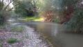 Sulle rive del Fiume Ofanto in agro di Barletta