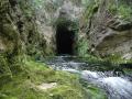 Risorgenza del rio Obaco