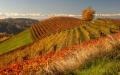 Langa del Barolo