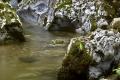 Rio Magiaiga, forme sinuose- Fotografia Ilaria Selvaggio