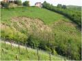 Frana superficiale in Oltrepò Pavese