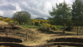 Foto Parco dell'Etna